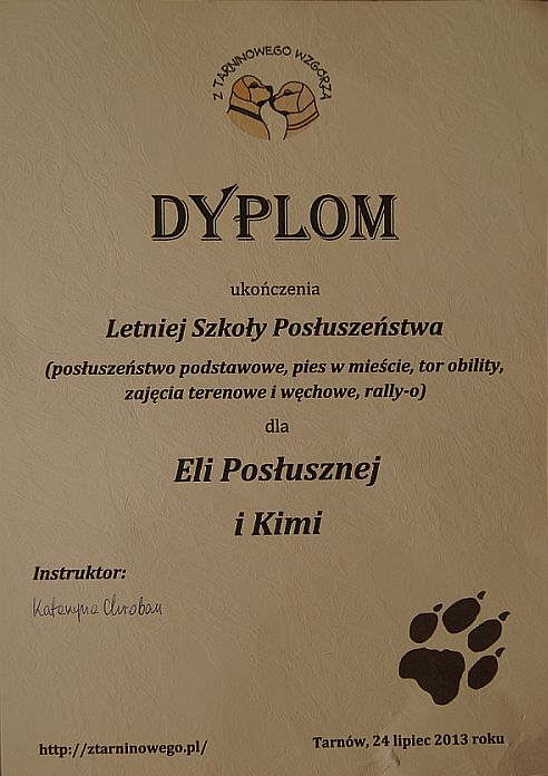 kimi