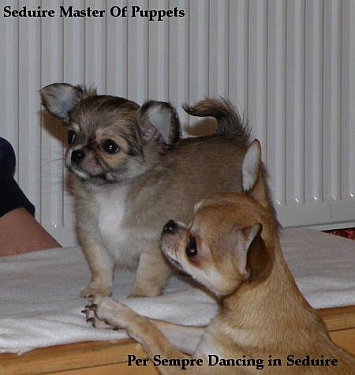 pupets